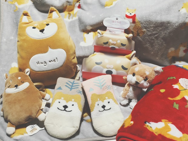20171120柴犬ｸﾞｯｽﾞ.jpeg