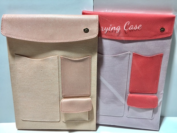 carryingcase1.jpg