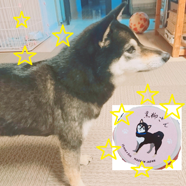 yuzuyanagi.png